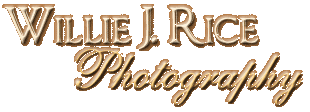 Willie J Rice Photography, serving the Lowcountry of South Carolina